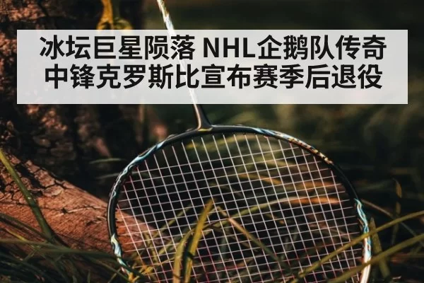 冰坛巨星陨落 NHL企鹅队传奇中锋克罗斯比宣布赛季后退役