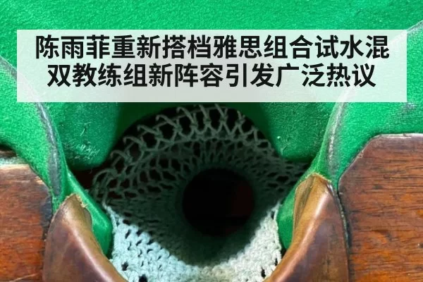 陈雨菲重新搭档雅思组合试水混双教练组新阵容引发广泛热议